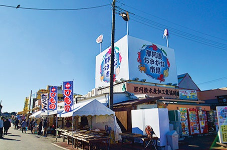 東京発 ひたち海浜公園 空とネモフィラが織りなす絶景海辺を走るローカル線ひたちなか海浜鉄道 日帰り 視界いっぱいの青へ!見頃を迎えるひたち海浜公園のネモフィラにご案内!1